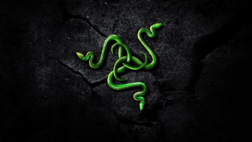 Razer Green Triple Snake Logo on Cracked Black Stone Texture 4K Desktop Wallpaper