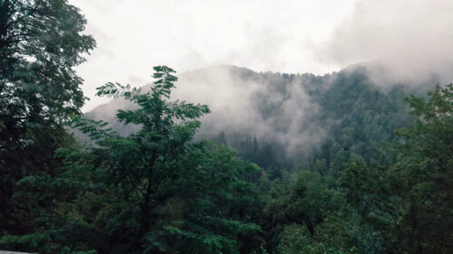 Misty Forest Mountain Landscape Serene Nature View Desktop Wallpaper
