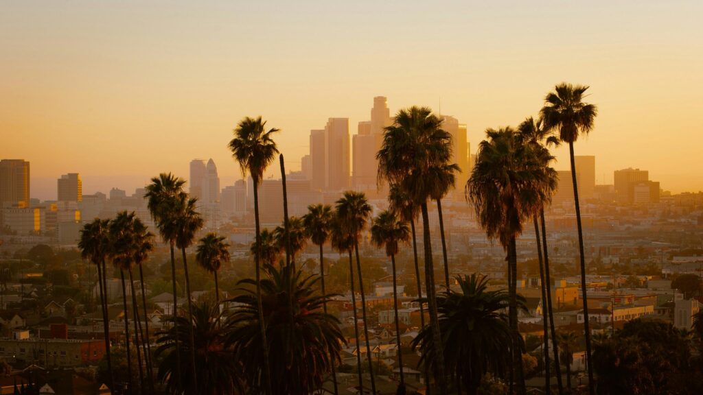 Stunning Los Angeles City Skyline with Palm Trees at Sunset PC Wallpaper