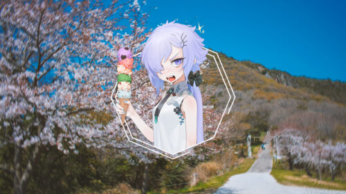 Anime Girl Holding Multi Colored Ice Cream in Spring Cherry Blossoms Desktop Wallpaper