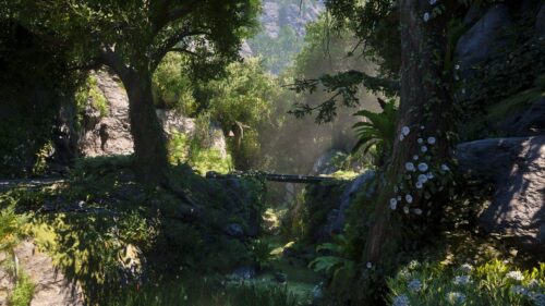 Serene Forest Ravine with Wooden Bridge and Sunlit Foliage 4K Wallpaper