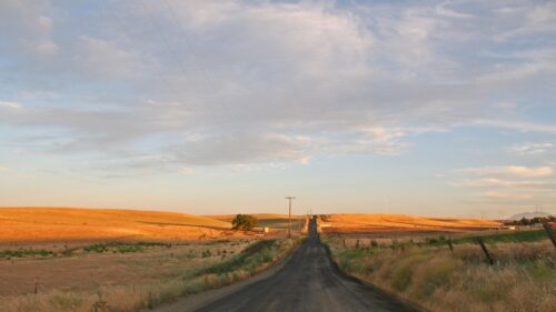 Golden Hour Rural Country Road Through Rolling Hills Desktop Wallpaper