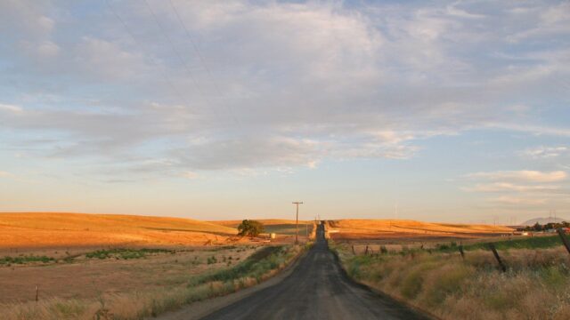 Golden Hour Rural Country Road Through Rolling Hills Desktop Wallpaper