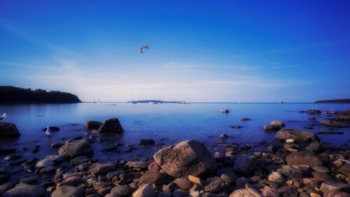 Serene Rocky Shoreline with Seagulls at Dusk 4K Desktop Wallpaper