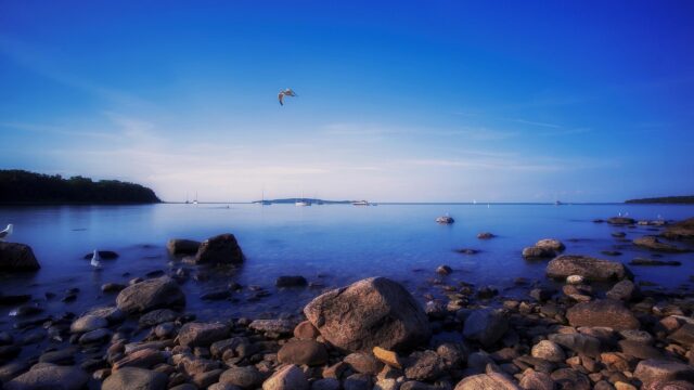Serene Rocky Shoreline with Seagulls at Dusk 4K Desktop Wallpaper