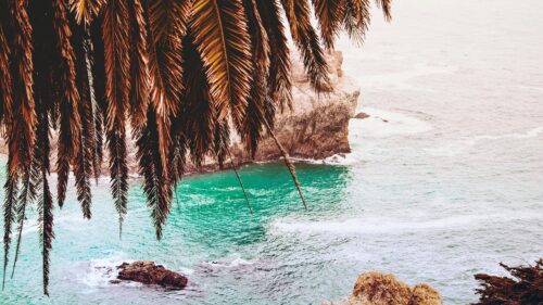 Tropical Palm Leaves Overhanging Turquoise Ocean Cliffs 4K Desktop Wallpaper