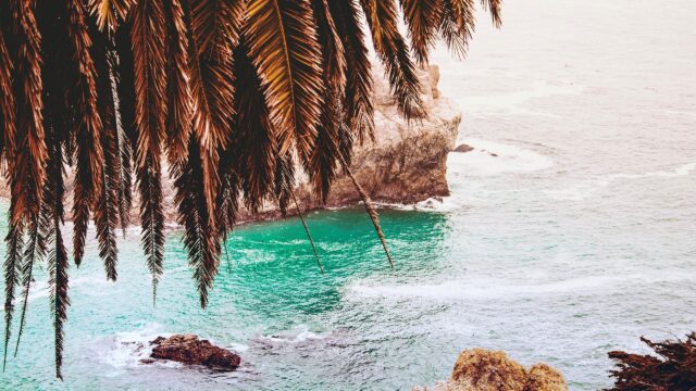 Tropical Palm Leaves Overhanging Turquoise Ocean Cliffs 4K Desktop Wallpaper