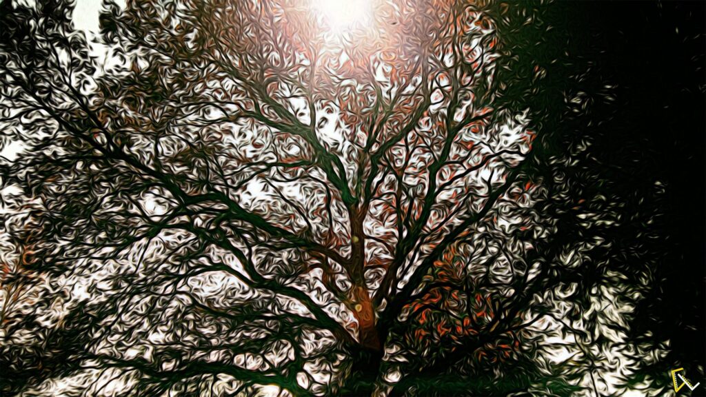 Abstract Tree Canopy With Golden Sunlight Artistic Desktop Wallpaper