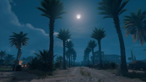 Stunning Nighttime Oasis Pathway with Palm Trees 4K Desktop Wallpaper