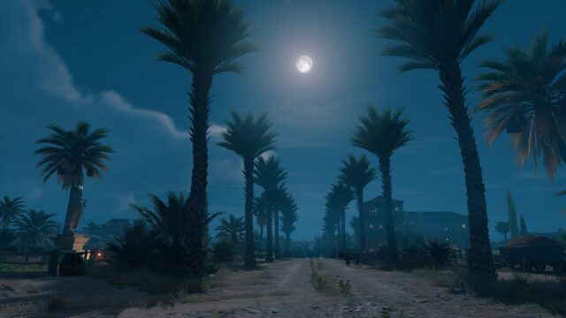 Stunning Nighttime Oasis Pathway with Palm Trees 4K Desktop Wallpaper