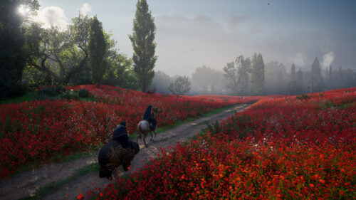 Assassin’s Creed Valhalla Viking Rider in Poppy Field 4K Desktop Wallpaper