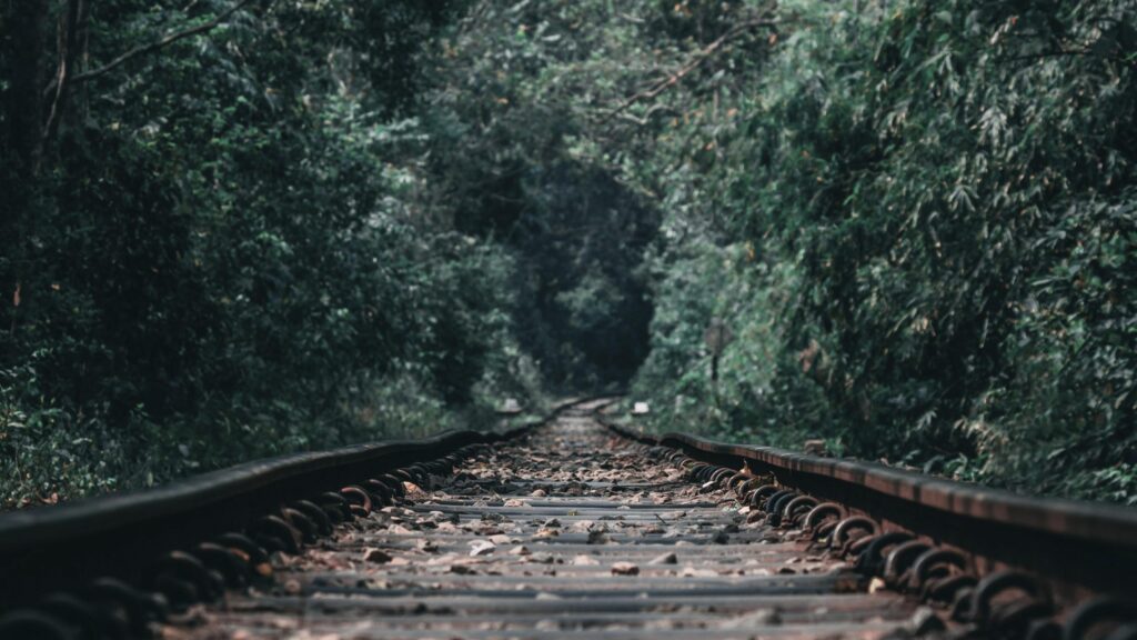 Enigmatic Forest Railway Tracks Leading Into the Unknown PC Wallpaper