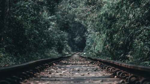Enigmatic Forest Railway Tracks Leading Into the Unknown PC Wallpaper
