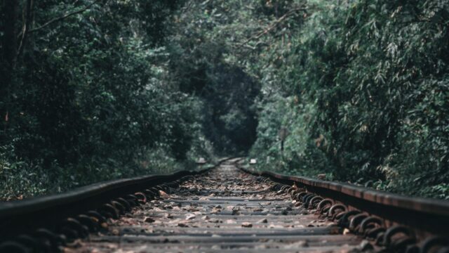 Enigmatic Forest Railway Tracks Leading Into the Unknown PC Wallpaper