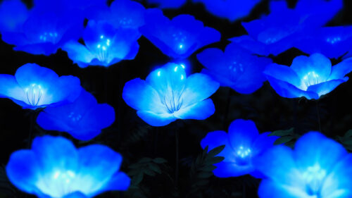 Glowing Neon Blue Flowers in Dark Night Nature 4K Desktop Wallpaper