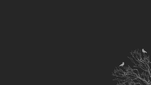 Minimalist Dark Aesthetic Tree with Birds Silhouette PC Wallpaper