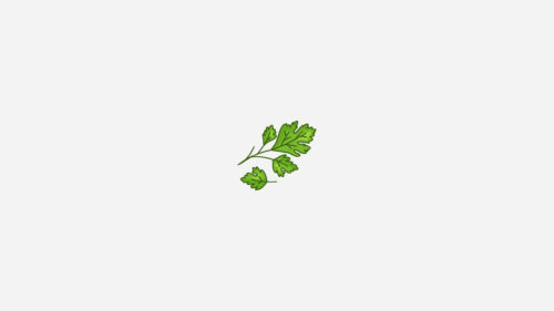 Minimalist Fresh Green Cilantro Herb Illustration 4K Wallpaper
