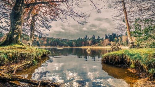 Serene Forest Lake Landscape Reflection 4K Desktop Wallpaper