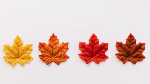 Minimalist Autumn Maple Leaves Gradient Desktop Wallpaper