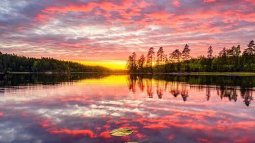 Stunning Sunset Over Serene Forest Lake 4K Desktop Wallpaper
