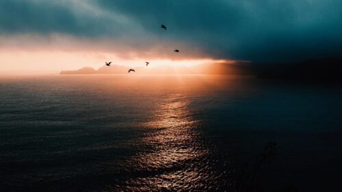 Dramatic Sunset Over Ocean with Silhouette Birds 4K Desktop Wallpaper