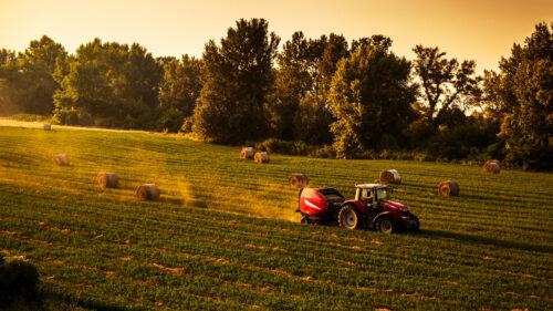 Red Tractor Harvesting Hay Bales in Golden Sunset Field Desktop Wallpaper