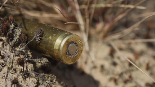 Macro Photography of a Spent Brass Rifle Cartridge Case Desktop Wallpaper