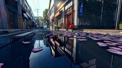Aesthetic Street Scene with Fallen Cherry Blossom Petals 4K Desktop Wallpaper