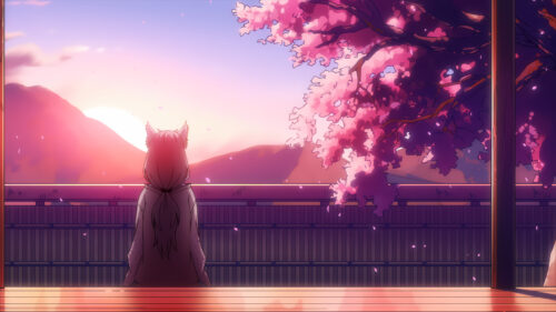 Anime Girl Watching Sunset under Cherry Blossom Tree Desktop Wallpaper