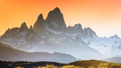 Majestic Fitz Roy Mountain Peak at Sunrise with Guanaco Desktop Wallpaper