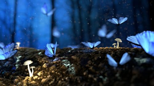 Magical Glowing Blue Butterflies on Forest Log 4K Desktop Wallpaper