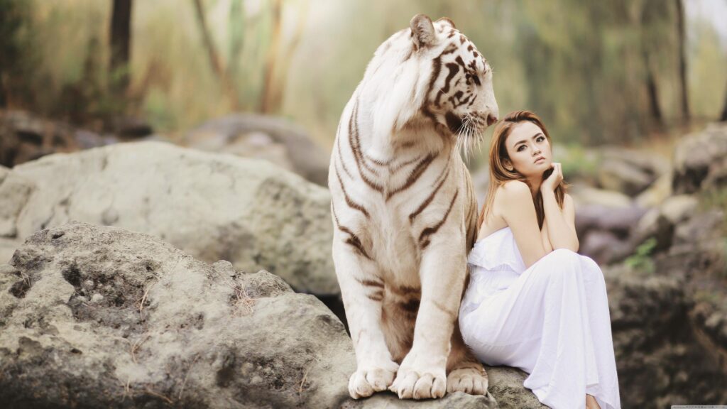 Stunning Portrait of a Woman Posing Beside a Majestic White Tiger Desktop Wallpaper