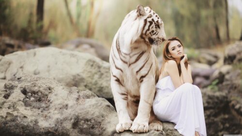 Stunning Portrait of a Woman Posing Beside a Majestic White Tiger Desktop Wallpaper