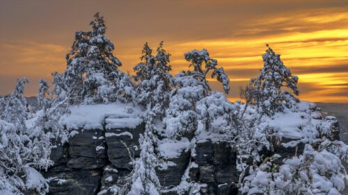 Winter Sunset Over Snowy Mountain Peaks and Pine Trees Desktop Wallpaper