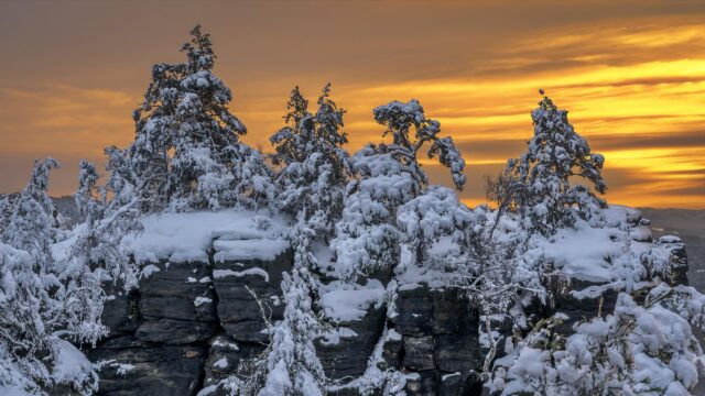 Winter Sunset Over Snowy Mountain Peaks and Pine Trees Desktop Wallpaper