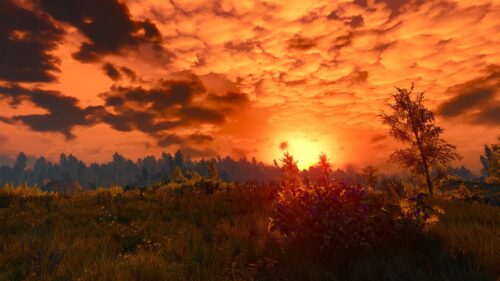 Breathtaking Orange Sunset Over Wild Meadow Landscape 4K Desktop Wallpaper
