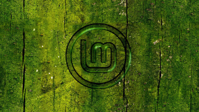 Linux Mint Logo Embossed on Mossy Wood Texture 4K Desktop Wallpaper