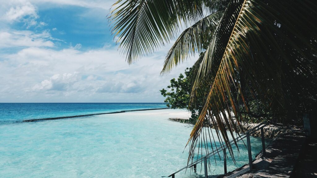 Tropical Maldives Beach Escape with Palm Fronds Desktop Wallpaper
