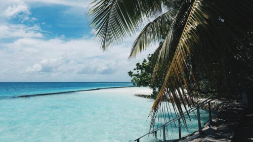 Tropical Maldives Beach Escape with Palm Fronds Desktop Wallpaper