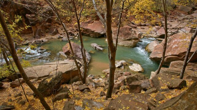 Stunning Autumn River Gorge in Zion National Park Desktop Wallpaper