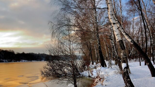 Stunning Golden Hour Birch Forest by Frozen River Desktop Wallpaper