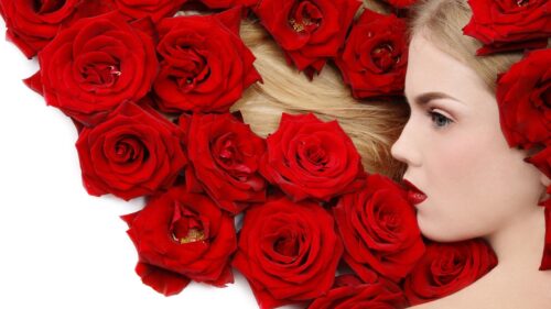 Stunning Woman Surrounded by Deep Red Roses 4K Desktop Wallpaper
