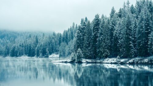 Stunning Winter Forest and Reflective Lake Landscape Desktop Wallpaper