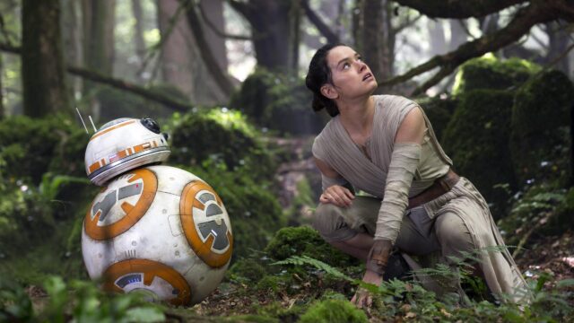 Rey and BB-8 in a Mossy Forest Star Wars Desktop Wallpaper