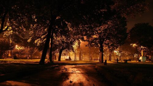 Enchanting Night Park Path with Warm Golden Street Lighting 4K Wallpaper