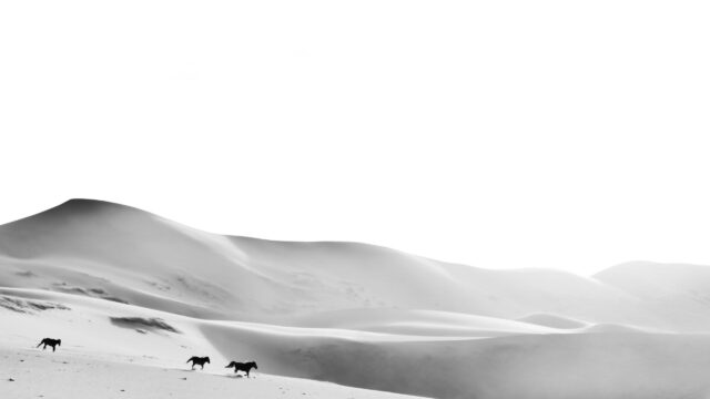 Minimalist Wild Horses Running on Desert Sand Dunes Desktop Wallpaper