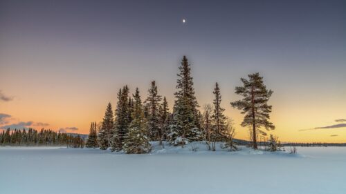 Stunning Snowy Island Forest at Sunset with Moon 4K Desktop Wallpaper
