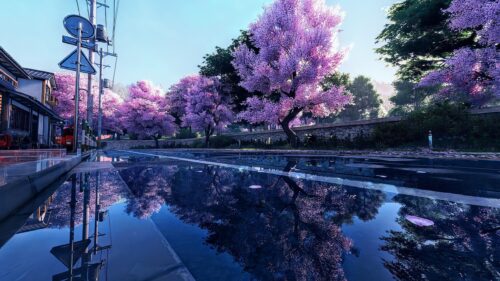 Stunning Cherry Blossom Street with Reflection in 4K Desktop Wallpaper