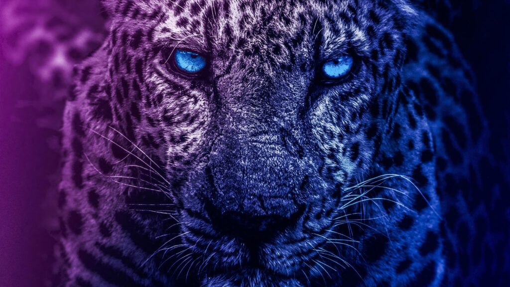 Neon Blue Leopard Close Up Artistic Portrait PC Wallpaper