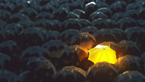Glowing Yellow Umbrella Amongst Dark Grey Umbrellas 4K Desktop Wallpaper